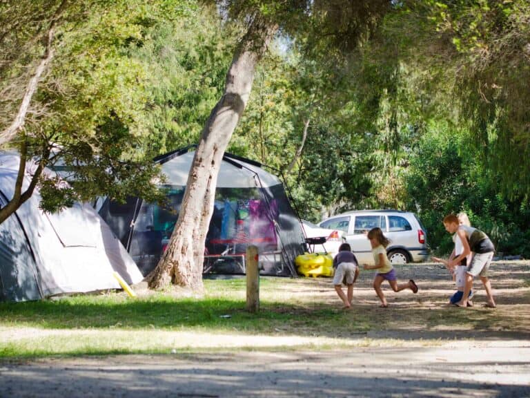 Rosebud Foreshore Camping