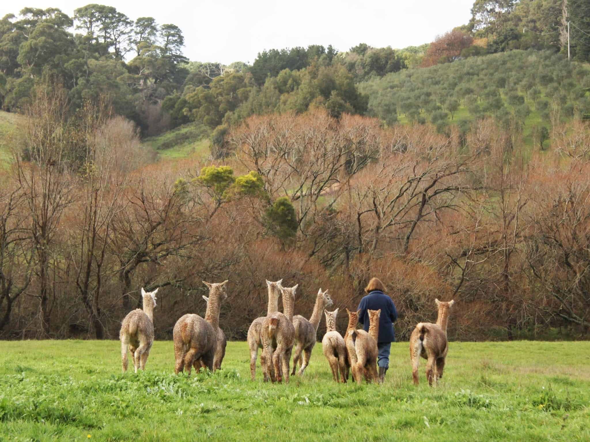 Summerhill Farm B&B