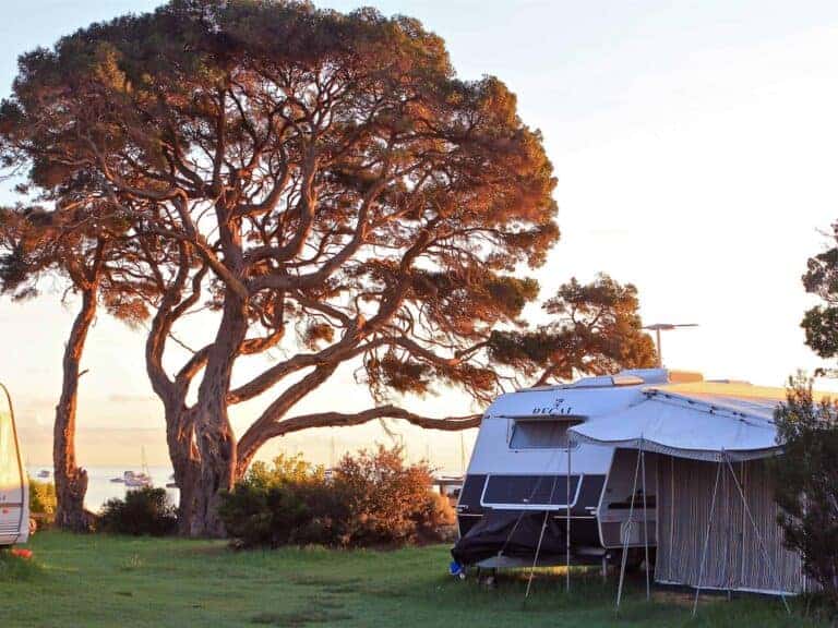 WhiteCliffs to Camerons Bight Foreshore Reserve